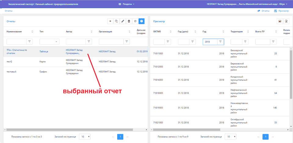 Строка с выбранным отчетом