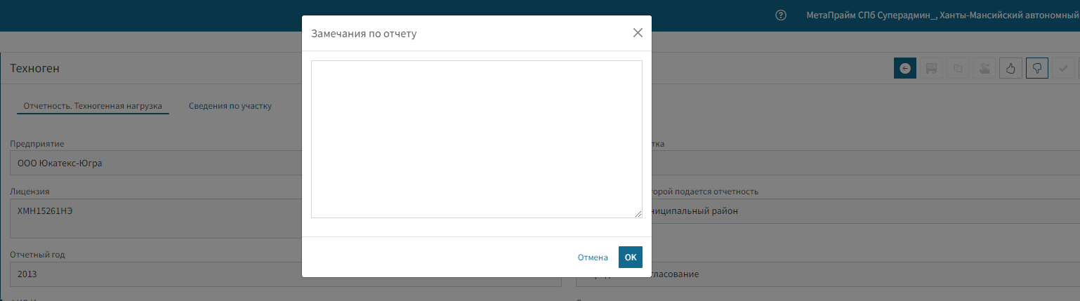 Ввод замечаний по отчету